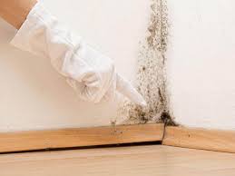 Moorestown Lenola, NJ Mold Removal & Remediation Company